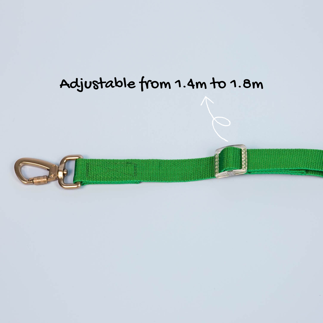 Paws Out Crossbody Set