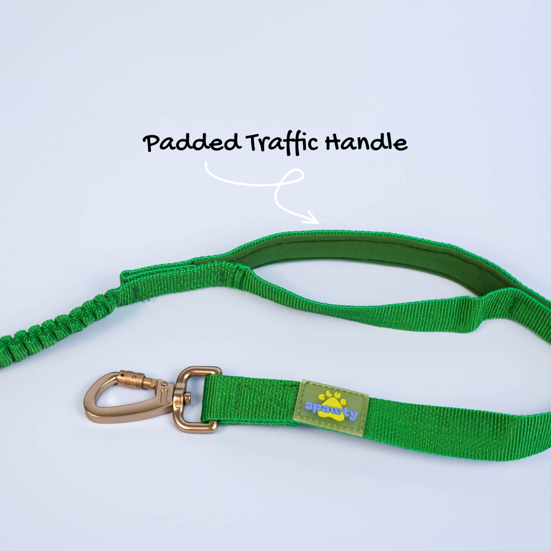 Paws Out Crossbody Set