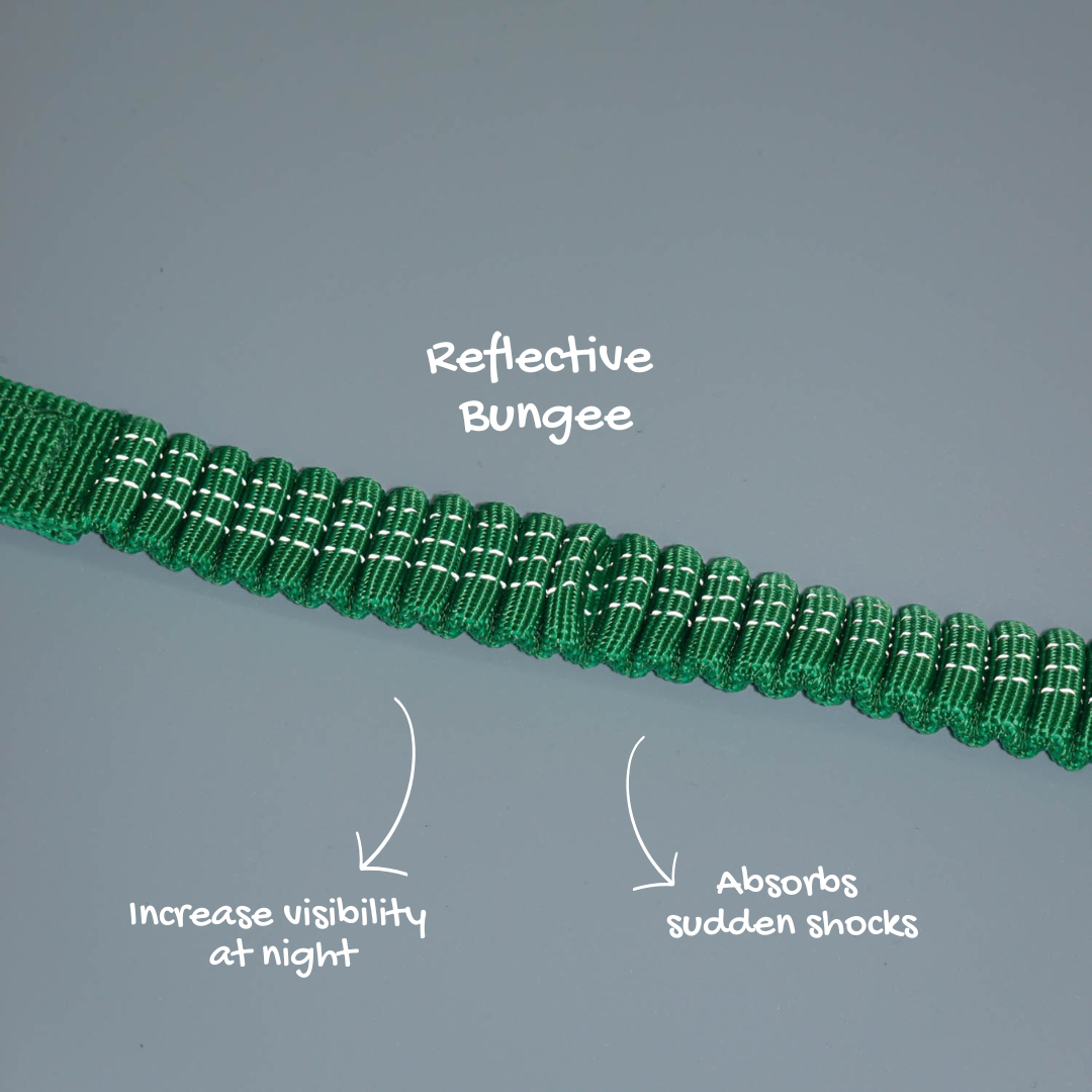 Paws Out Crossbody Set