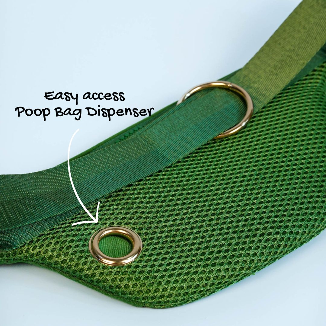 Paws Out Crossbody Set