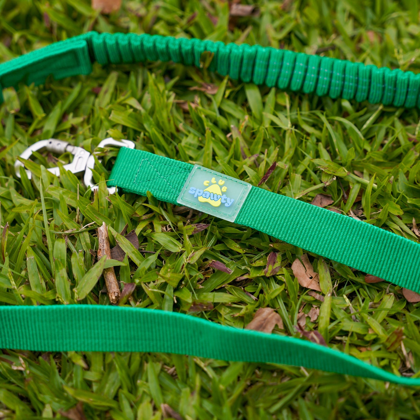 Club Spawty Paws Out Leash Green