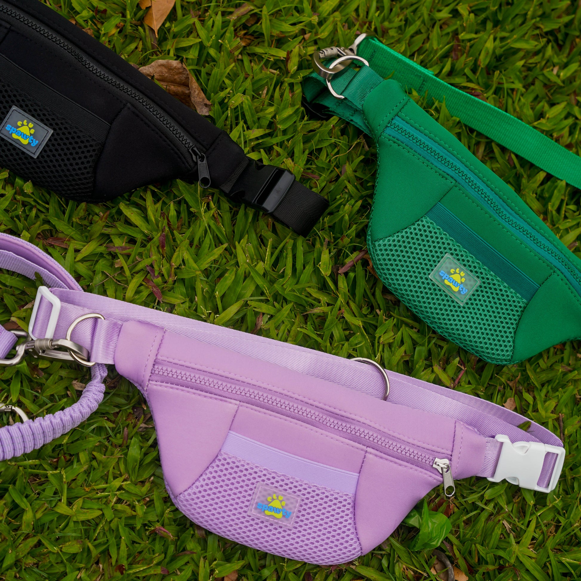 Club Spawty Paws Out Bag Black Green Purple 