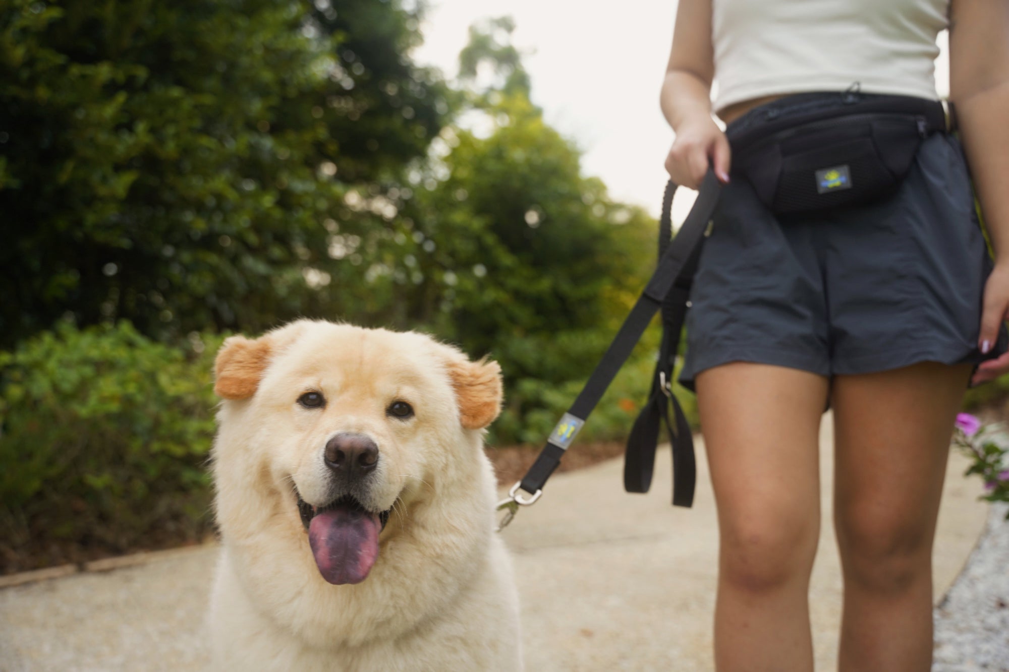 Club spawty paws out crossbody set black
