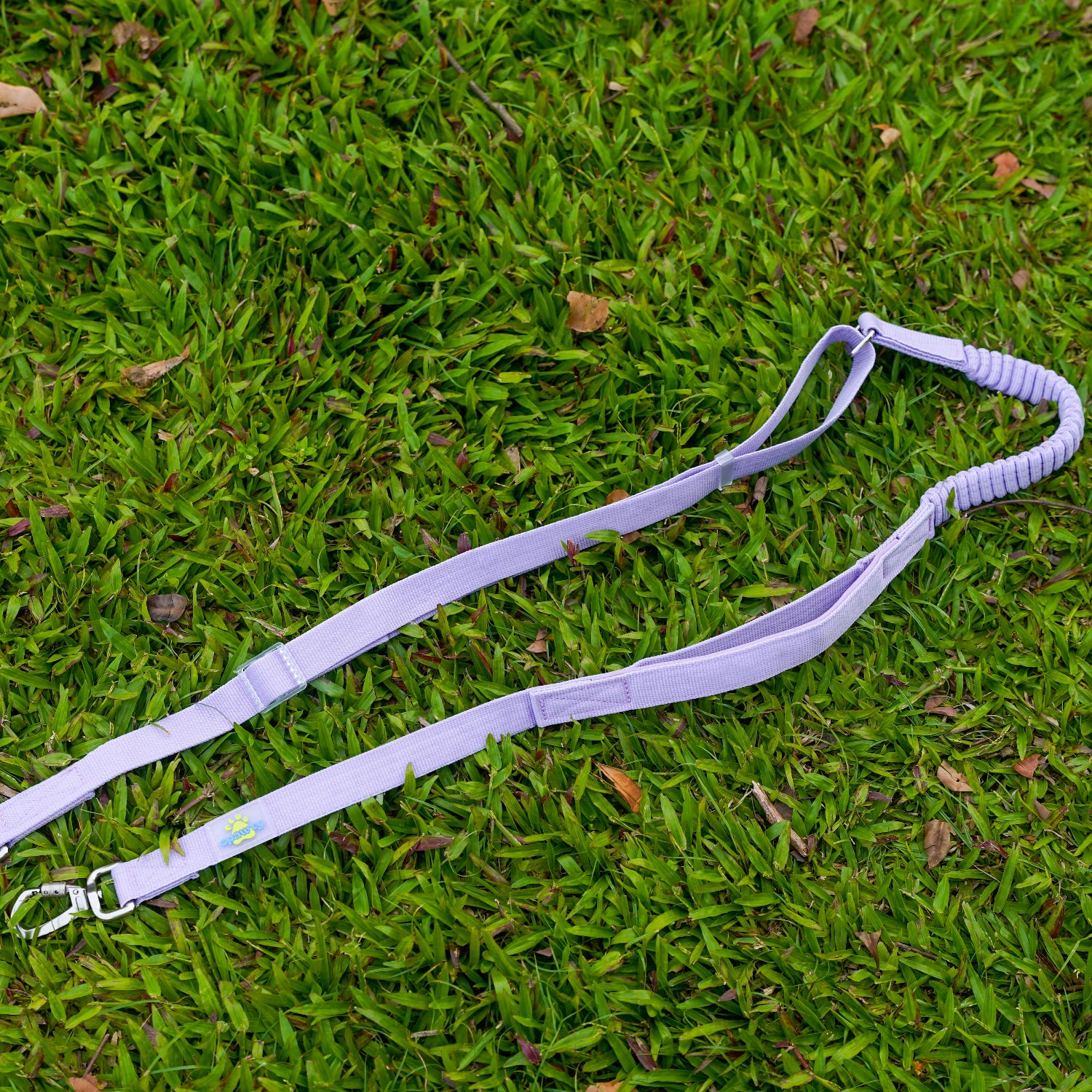 Club Spawty Paws Out Leash Purple